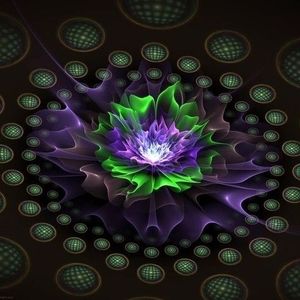 Meet your Posher, Tara